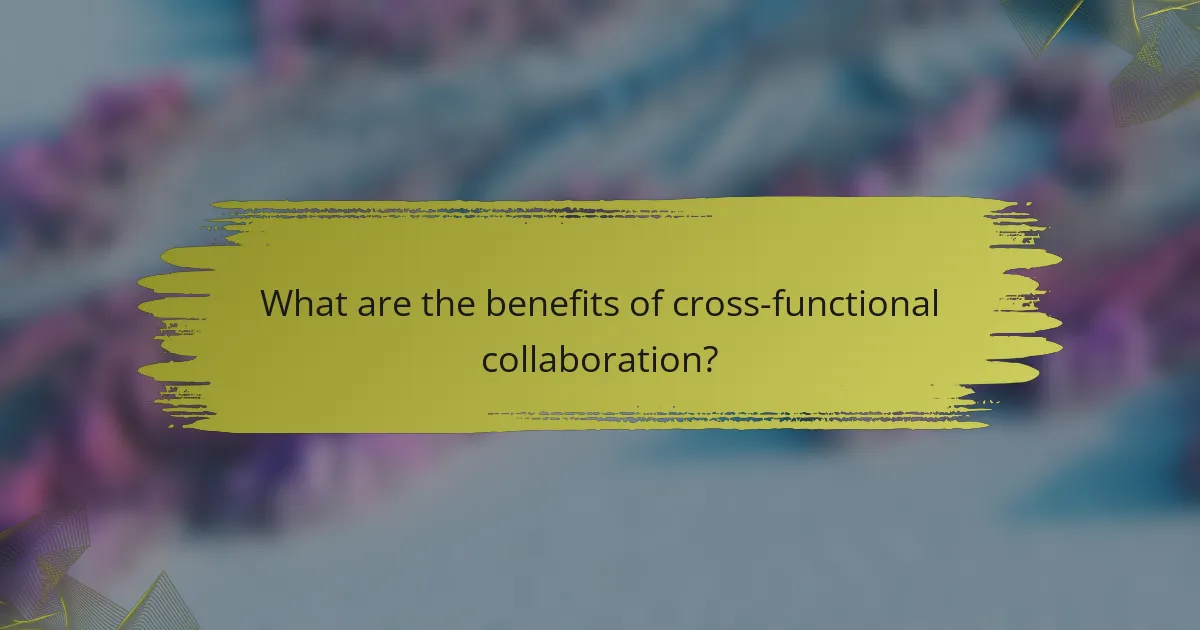 What are the benefits of cross-functional collaboration?