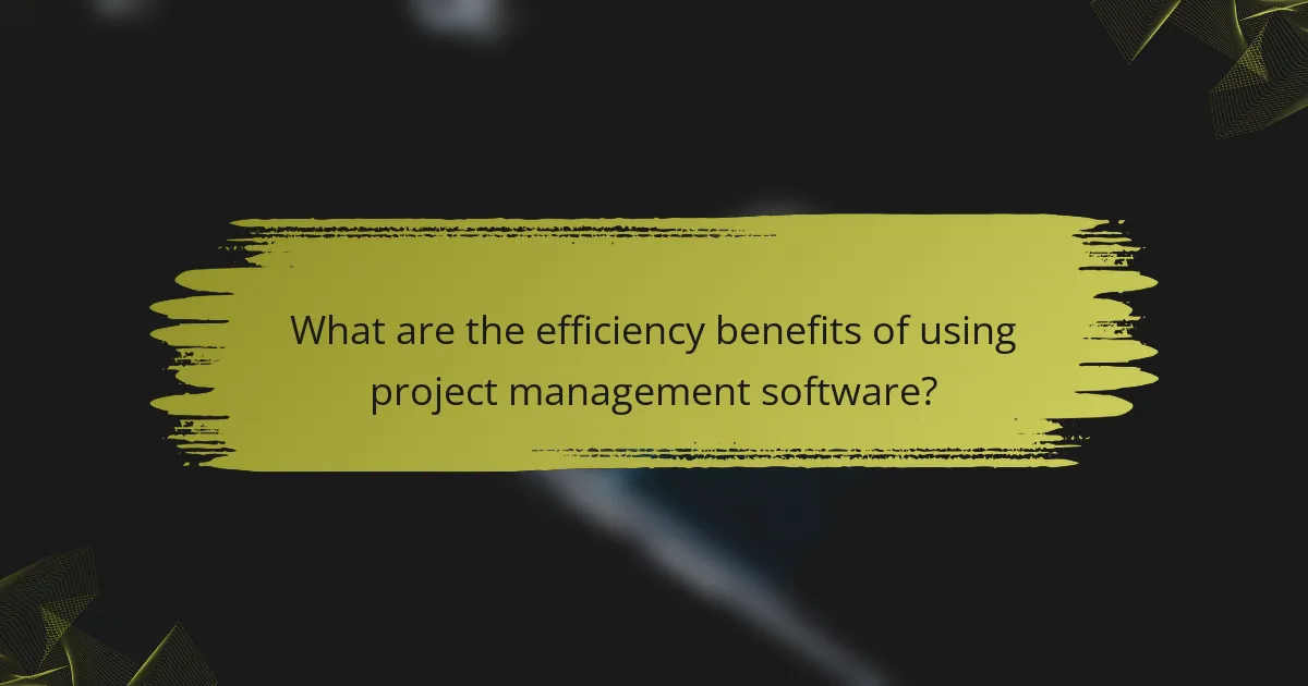 What are the efficiency benefits of using project management software?