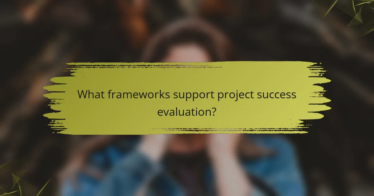 What frameworks support project success evaluation?